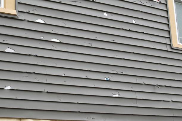 Best Custom Trim and Detailing for Siding  in La Mirada, CA